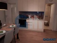 Izdavanje, dvosoban stan, 53m², Zeleni Venac, Beograd - image 6