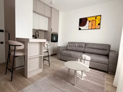 Izdavanje, garsonjera, 25m², Zabjelo, Podgorica - image 3