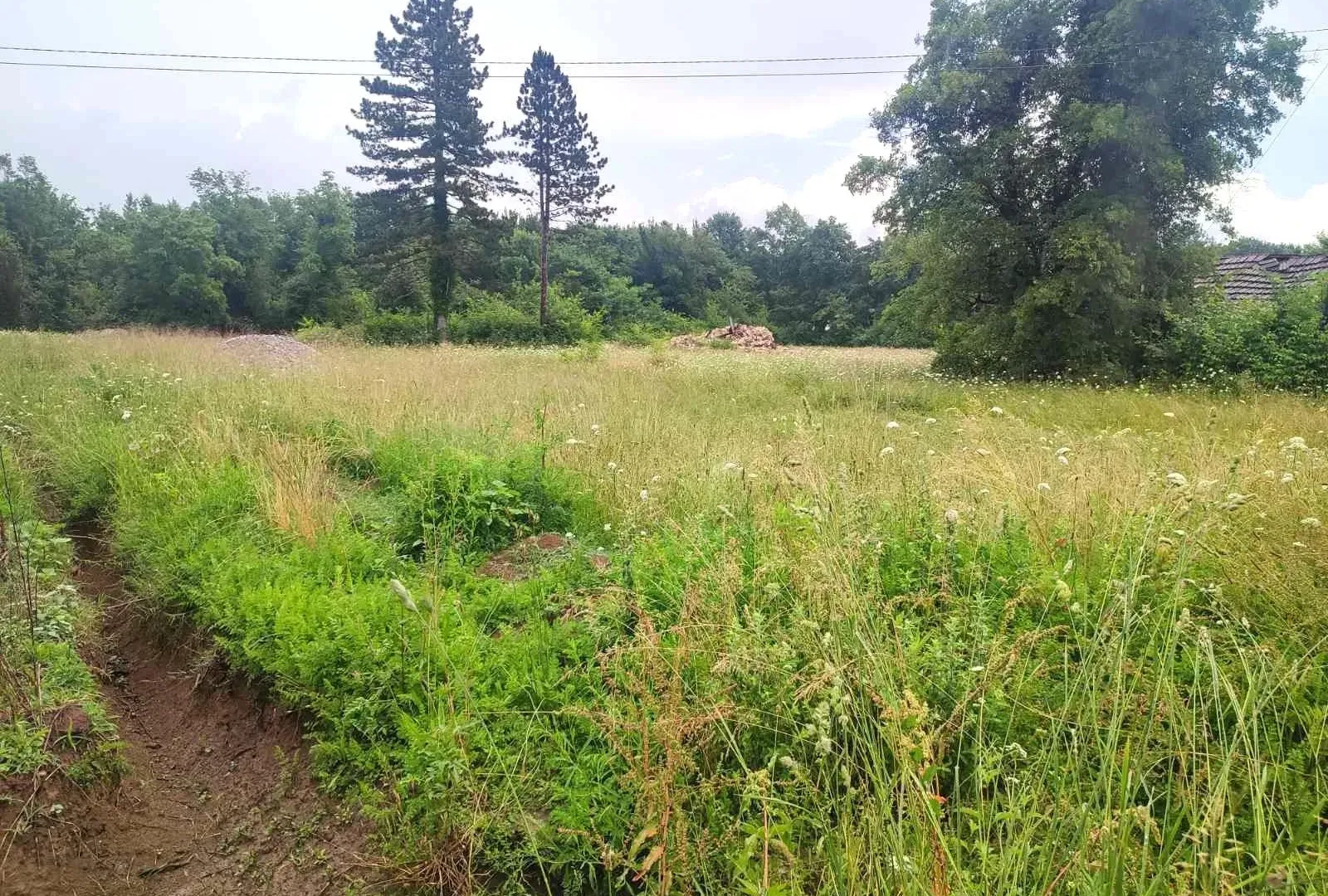 Sale, land lot, 5000m², Ćurilac, Danilovgrad