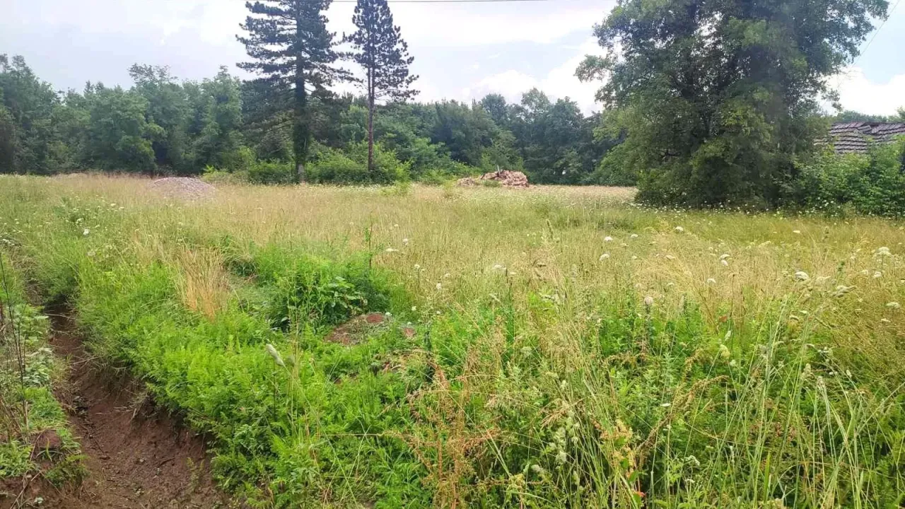 Sale, land lot, 5000m², Ćurilac, Danilovgrad