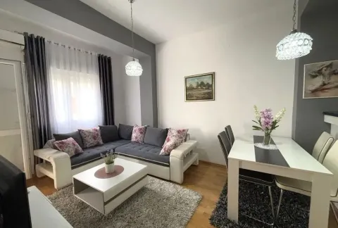 Rent, one bedroom apartment, 45m², Ljubović, Podgorica - image 3