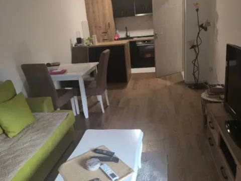 Izdavanje, jednosoban stan, 45m², Pobrežje, Podgorica - image 3