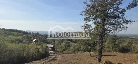 Pogled na okolnu prirodu, šume i brda sa imanja. - image 7