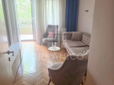 Izdavanje, jednosoban stan, 68m², Centar, Podgorica - image 2