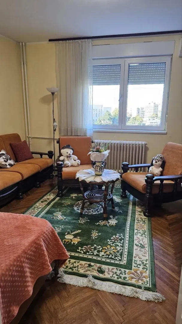 Living room with a seating set, rug, and window.