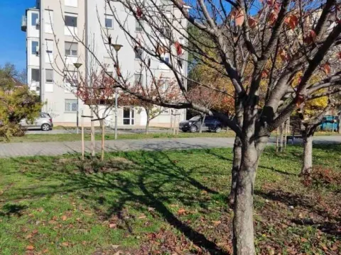 Izdavanje, trosoban stan, 55m², Novo naselje, Novi Sad - image 2