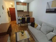 Izdavanje, stan, 22m², Sajam, Novi Sad Sve Podlokacije - image 1