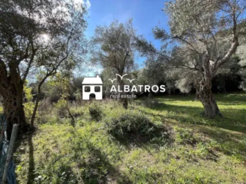 Sale, land lot, 800m², Bar, Crna Gora - image 2