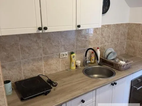 Izdavanje, jednosoban stan, 30m², Obrenovac, Beograd - image 8