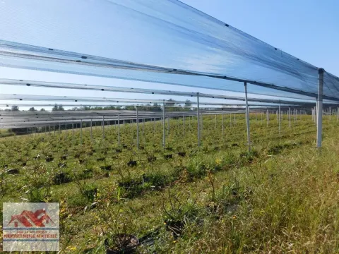 Sale, land lot, 350m², Kragujevac, Srbija - image 7