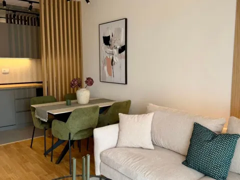 Rent, one bedroom apartment, 40m², Zabjelo, Podgorica - image 7