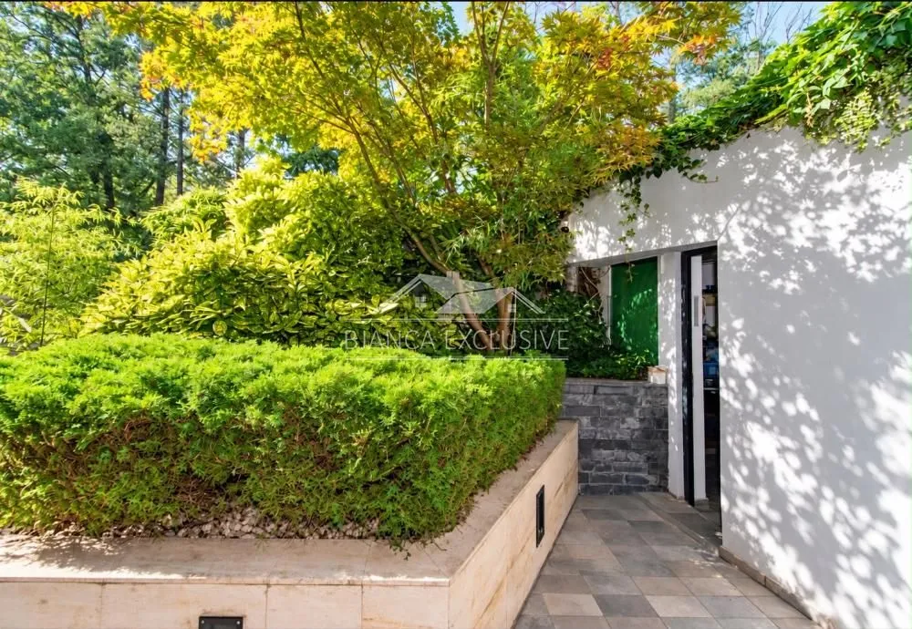 Greenery and landscaped courtyard in front of the building entrance.