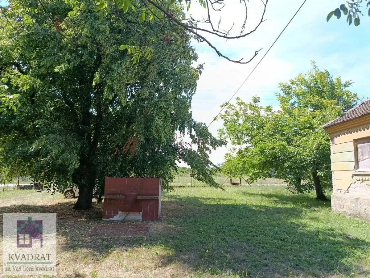 Pogled na dvorište sa drvećem i pomoćnim objektom.