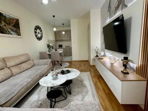 Rent, one bedroom apartment, 60m², Zagorič, Podgorica - image 3