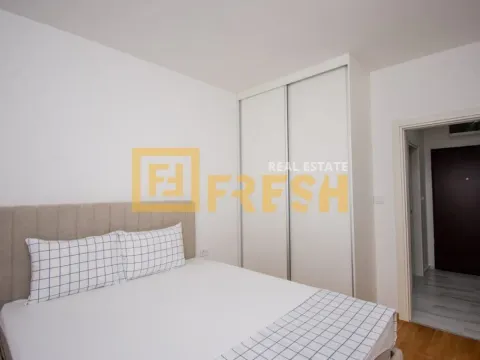 Izdavanje, jednosoban stan, 46m², Stari Aerodrom, Podgorica - image 14