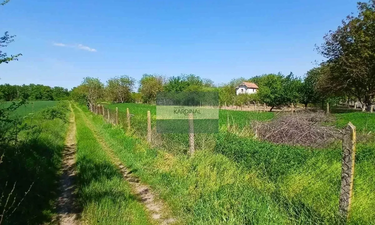 Sale, land lot, 1932m², Vinorača, Jagodina