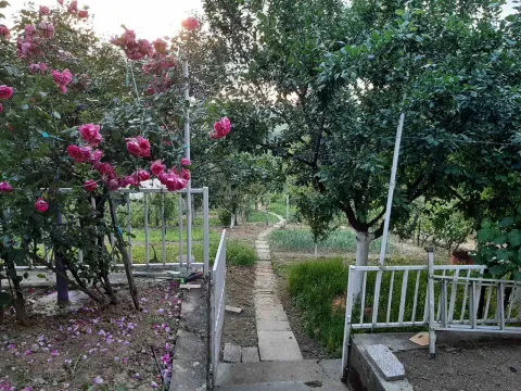 Prodaja, kuća, 210m², Sremska Kamenica, Petrovaradin - image 10