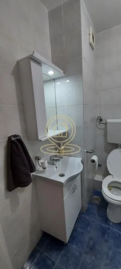 Izdavanje, jednosoban stan, 20m², Rotkvarija, Novi Sad Sve Podlokacije