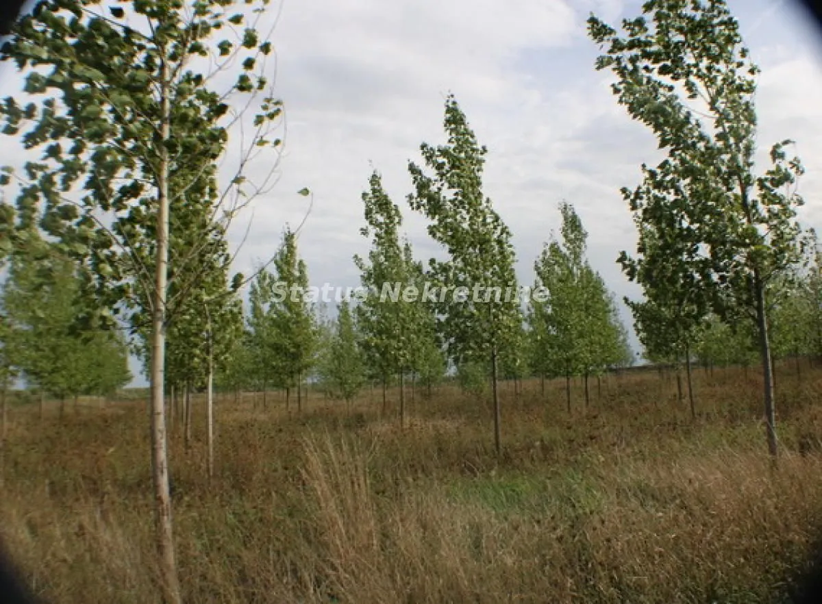 Prodaja, plac, 1378m², Zrenjanin, Srbija