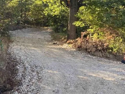 Sale, land lot, 649m², Donje Štiplje, Jagodina - image 10