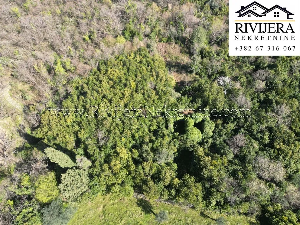 Prodaja, plac, 3769m², Stoliv, Kotor