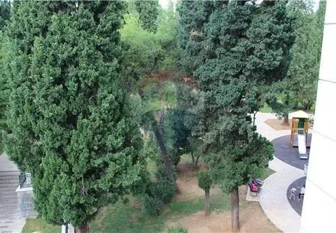 Sale, three bedroom apartment, 114m², Podgorica, Crna Gora - image 10