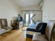 Izdavanje, jednosoban stan, 51m², Central Point, Podgorica - image 2