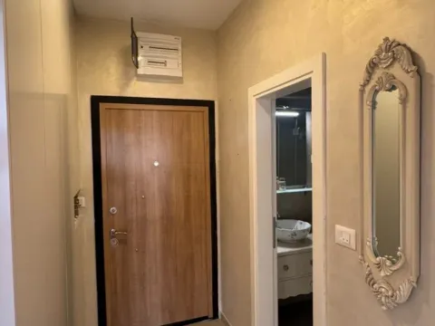 Izdavanje, jednosoban stan, 47m², Podgorica, Crna Gora - image 8