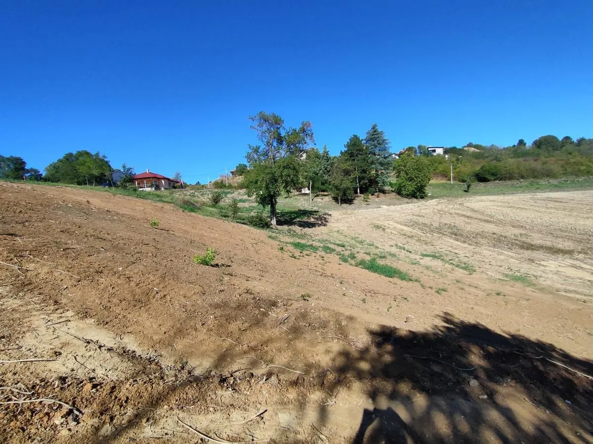Prodaja, plac, 700m², Sremska Kamenica, Petrovaradin