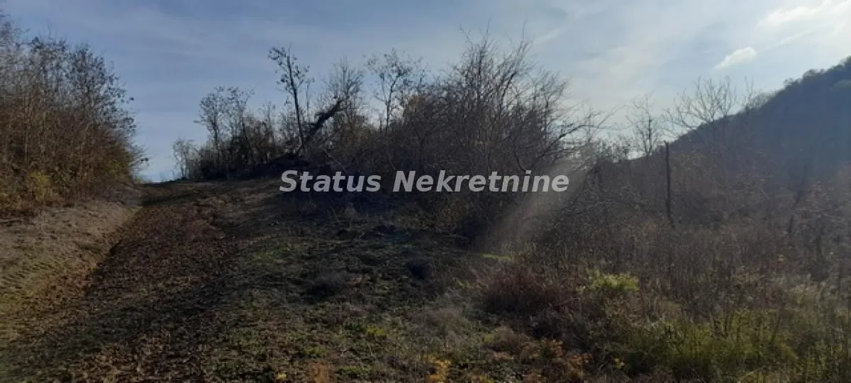 Prodaja, plac, 13011m², Beočin, Srbija