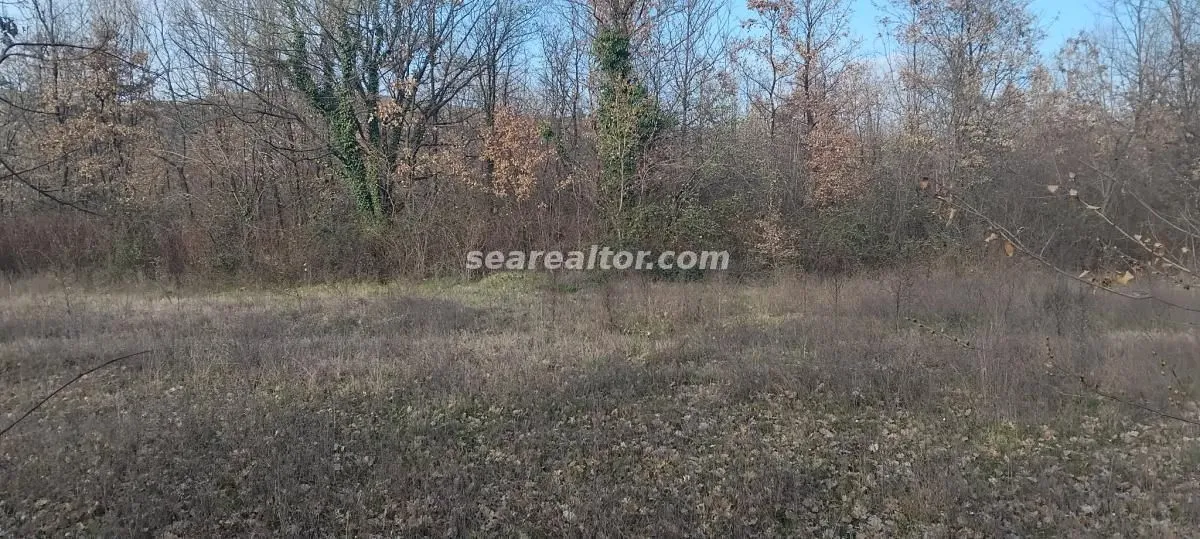 Prodaja, plac, 2386m², Dajbabe, Podgorica