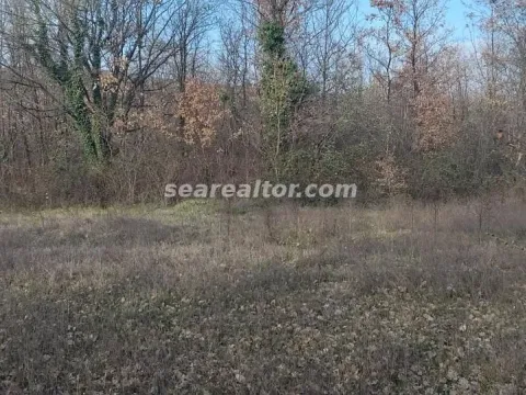 Prodaja, plac, 2386m², Dajbabe, Podgorica - image 2