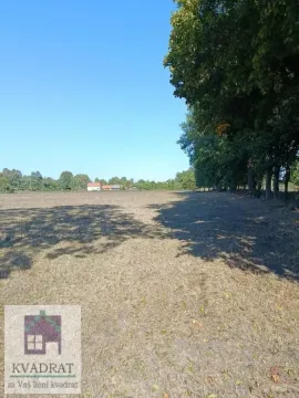 Pogled na ravno zemljište sa drvećem uz ivicu. - image 4