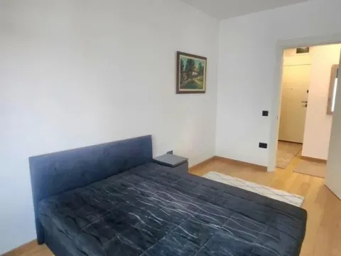 Rent, two bedroom apartment, 43m², Grbavica, Novi Sad Sve Podlokacije - image 9