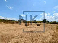 Prodaja, plac, 2300m², Zeta, Podgorica - image 6