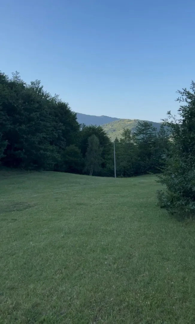 Zelena livada sa drvećem i pogledom na brda u pozadini.