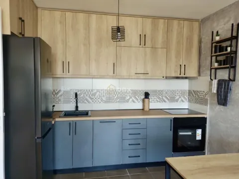 Rent, one bedroom apartment, 45m², Pantelej, Niš - image 2