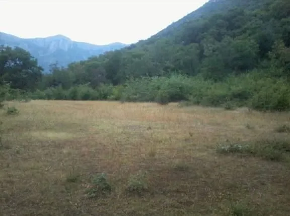 Sale, land lot, 13000m², Centar, Bar