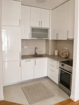 Prodaja, jednosoban stan, 40m², Central Point, Podgorica - image 3