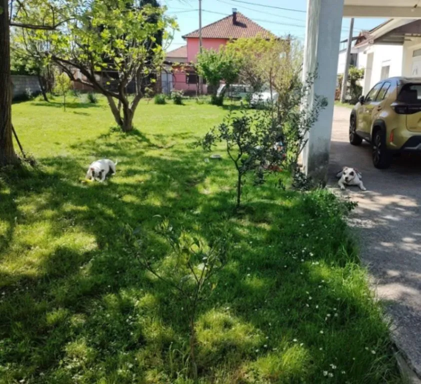 Prodaja, kuća, 180m², Murtovina, Podgorica