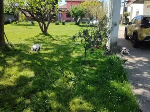 Prodaja, kuća, 180m², Murtovina, Podgorica - image 6