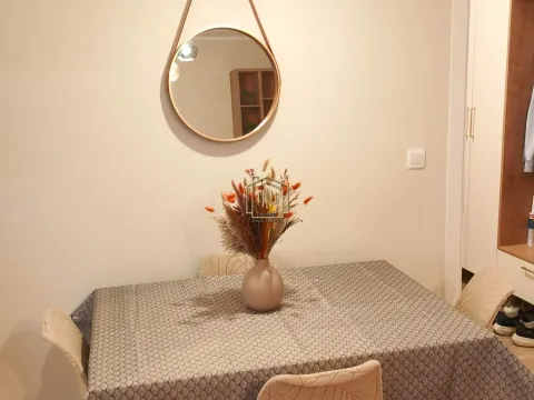 Rent, one bedroom apartment, 48m², Zabjelo, Podgorica - image 5