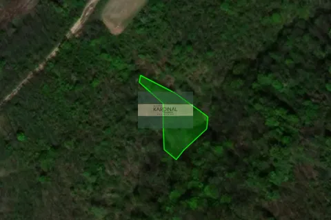 Satelitski snimak terena sa označenom granicom parcele. - image 3