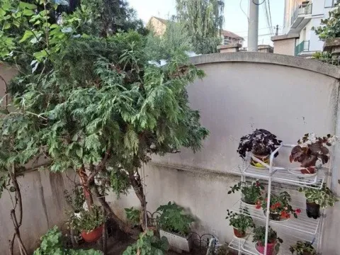 Sale, three bedroom apartment, 71m², Brace Jerković, Voždovac Sve Podlokacije - image 16