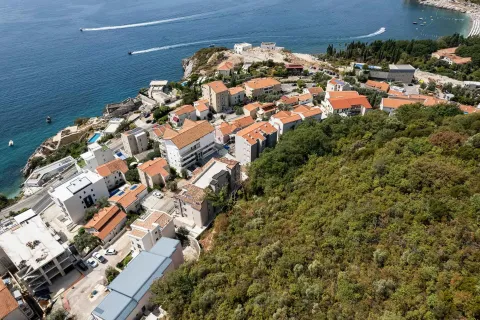 Pogled iz vazduha na obalu i naselje sa zgradama i zelenilom. - image 7