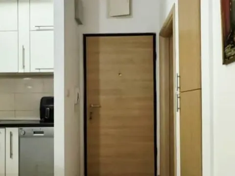 Rent, one bedroom apartment, 54m², Ljubović, Podgorica - image 3