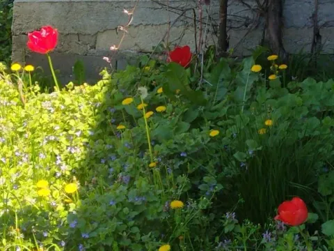 Sale, house, 85m², Donji Milanovac, Majdanpek - image 6