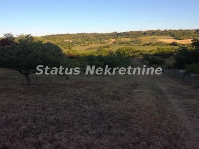 Prodaja, plac, 2500m², Sremska Kamenica, Petrovaradin