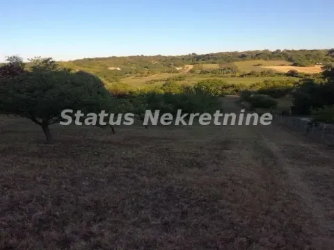 Sale, land lot, 2500m², Sremska Kamenica, Petrovaradin - image 2
