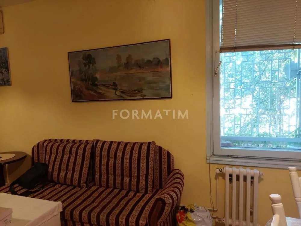 Izdavanje, dvosoban stan, 50m², Novi Beograd Blok 22, Novi Beograd Sve Podlokacije